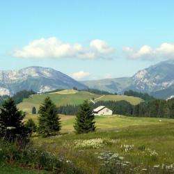 Plateau Des Glières