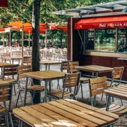 Petit Plisson Aux Tuileries