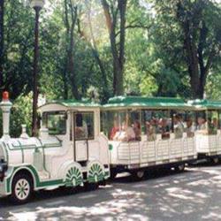 Petit Train De Metz