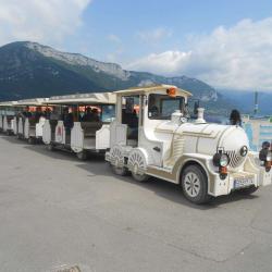 Petit Train Touristique