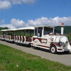 Petit Train Touristique