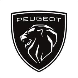 Peugeot - Dubreuil Automobiles Elbeuf