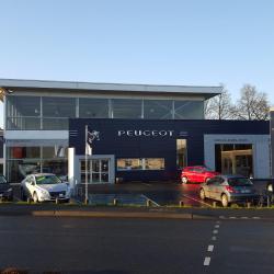 Peugeot - G. Nedelec Guingamp