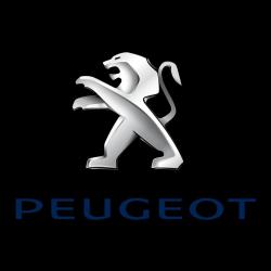 Peugeot - La Flèche Automobiles