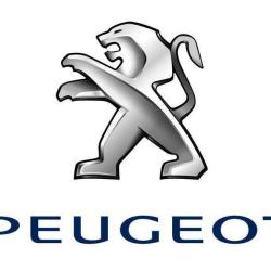 Peugeot Azur Grasse