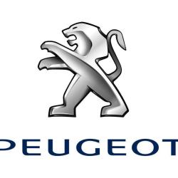 Peugeot Psa Retail Bondy