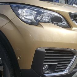 Peugeot By Trujas Trappes