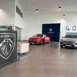Car Avenue Peugeot Metz Borny