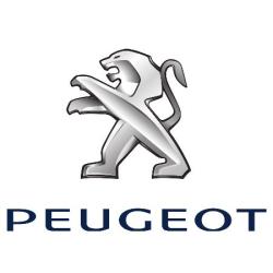 Peugeot - Garage Du Palais