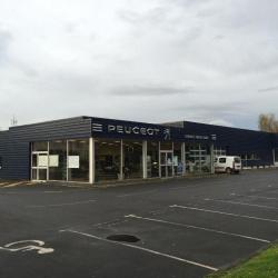 Peugeot Garage Massa