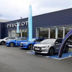 Peugeot Gemy Angers