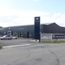 Peugeot Gemy Fougeres