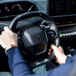 Peugeot Gemy Saint-brieuc