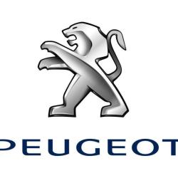 Peugeot Stellantis &you Toulouse Montaudran