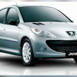 Peugeot Naza Auto Montage Agent