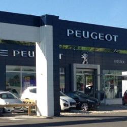 Peugeot Provins - Groupe Riester