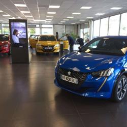 Peugeot Stellantis &you Pessac