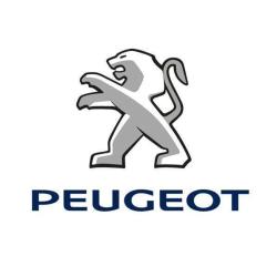 Peugeot Psa Retail Saint Louis