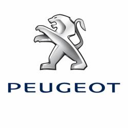 Peugeot Roques S/garonne