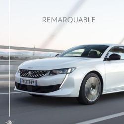 Peugeot Sézanne - Groupe Riester