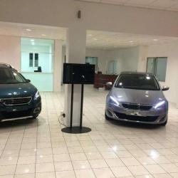 M And S Auto