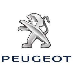 Peugeot Troyes - Groupe Froment