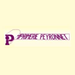Peyronnet Yves