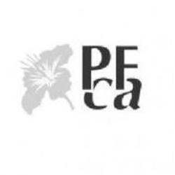 P.f.c.a -pompes Funèbres Communes Associées