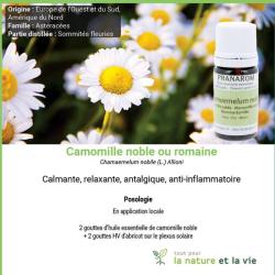 Pharmacie Des Quatre Chemins Des Routes