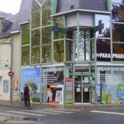 Pharmacie Pion Havard