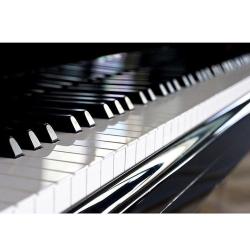 Pianos Bonnet