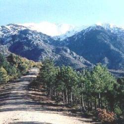 Pic Du Canigou 2784m