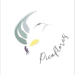 Picaflores