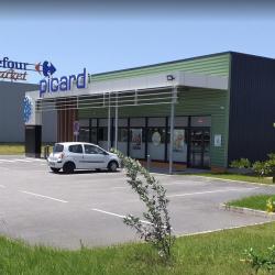 Picard Surgelés