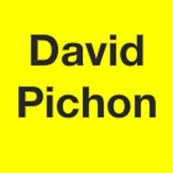 Pichon David