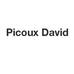 Picoux David