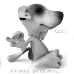 Yoga Et Viniyoga Dessoliès Pierre
