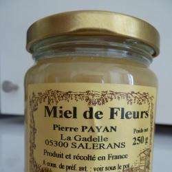Pierre Payan, Confiseur