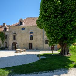 Domaine De Richebourg - Pierres D'histoire