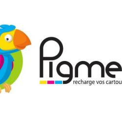 Pigmenta Recharge Cartouches.