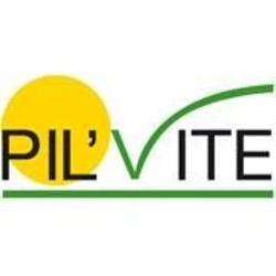 Pil'vite