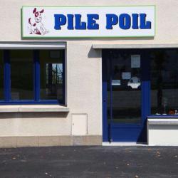 Pile Poil