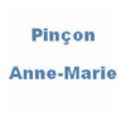 Pinçon Anne-marie