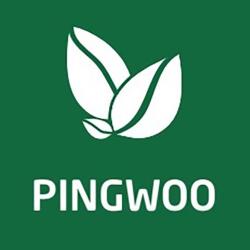 Pingwoo