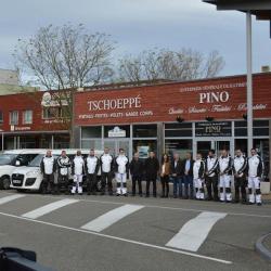 Pino