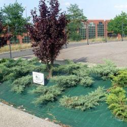 Pipet Vernet Paysages