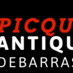 Pique Antiquité 87
