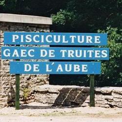 Pisciculture Gaec Des Truites De L'aube