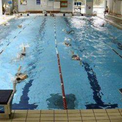 Piscine Cour Des Lions