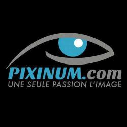 Pixinum